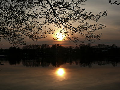sjön, väst, solen, naturen, solnedgång, reflektion, träd