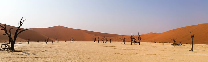 Afryka, Namibia, krajobraz, Pustynia Namib, Pustynia, wydmy, wydmy
