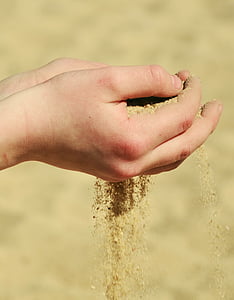 손, 모래, 녹아, 트레이, 상징, 비치, 여름