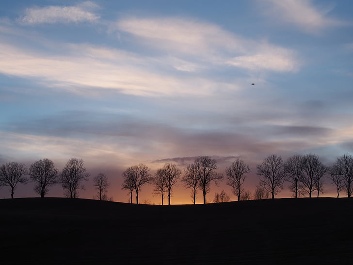 landscape, sunset, dusk, silhouette, trees, sky, clouds