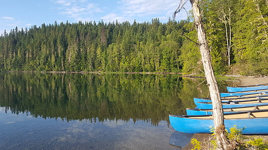 加拿大, 独木舟, 河, 反思, 湖, 水, 自然