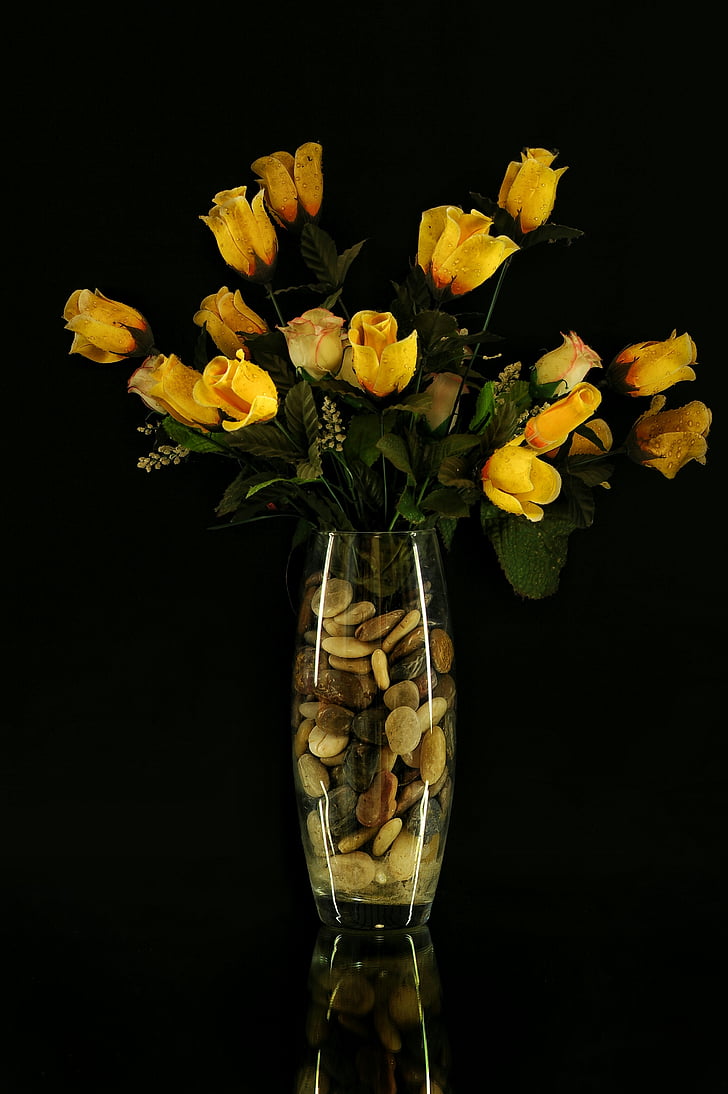 fleurs, vase, sassi, sombre, fleur, vases, nature
