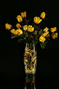blomster, vase, Sassi, mørk, blomst, vaser, natur