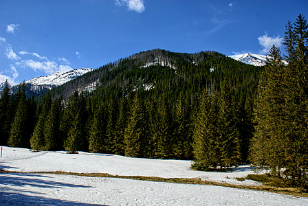 Tatry, Kościeliska-Tal, Winter, Frühling, Tourismus, westliche Tatra, Landschaft