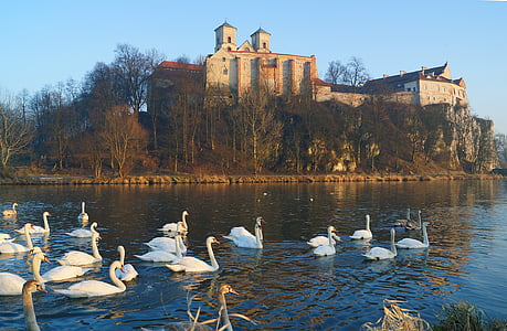 Kraków, Tyniec, Monastère de, architecture, automne, Abbaye, Bénédictins