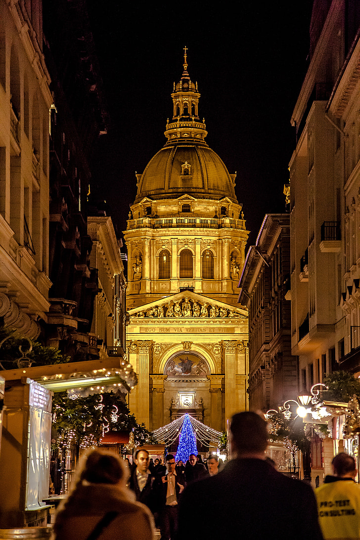 Budapest, Advent, tisztességes, éjjel, fény, karácsonyfa, fenyő