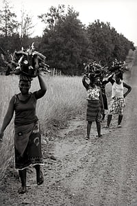Afrika, Sydafrika, afrikanska kvinnor, kvinnor bär trä, ved, svart och vitt, personer