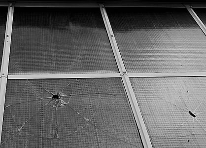 ventana, disco, vidrio, roto, hoja de, licencia, edificio