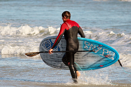 Surfer, berdiri mendayung, laut, Pantai, papan selancar, basah, olahraga