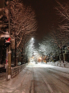 inverno, notte, neve, Via, freddo - temperatura, luce di via, scena urbana
