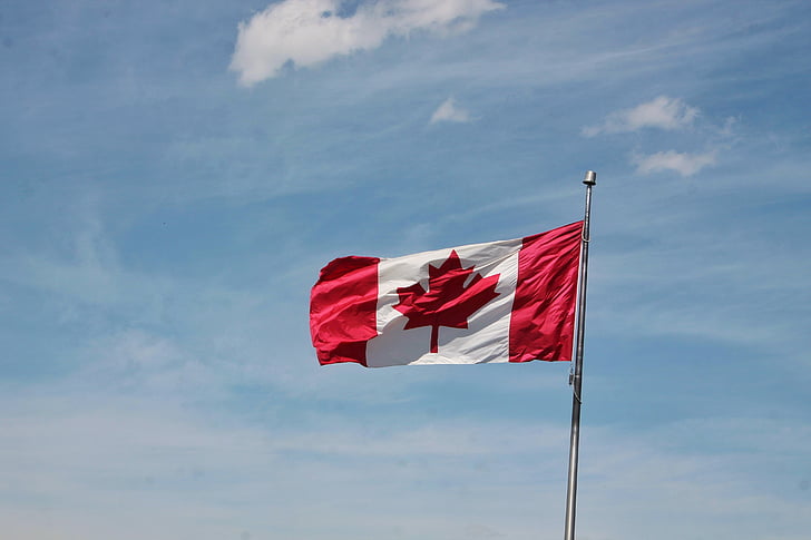 Канада, флаг, канадски, кленов лист, червено знаме, роялти, изображение