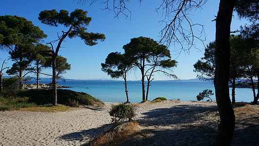 puud, Beach, Kreeka, rannikul, Sea, vee, puu