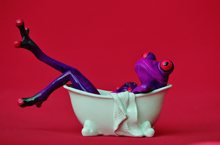 frog, bath, swim, relaxation, relax, funny, body care