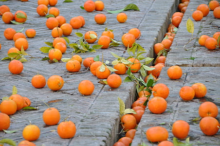 oranges, fruits, rue, nature, alimentaire, couleur orange, Agriculture