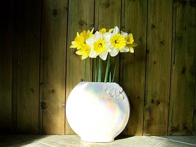 Narcizas puokštė, geltona gėlė, Natiurmortas