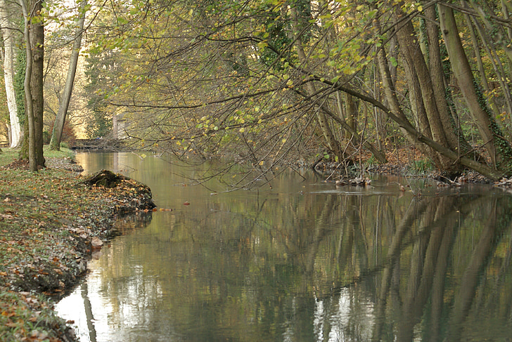 kreupelhout, rivier, reflecties