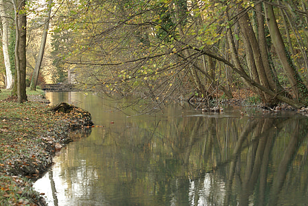 aluskasvillisuus, River, Reflections