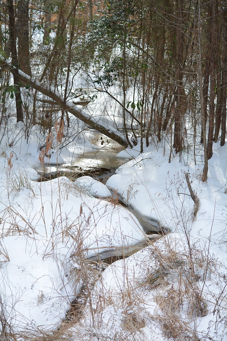 creek, winter, forest, scenic, nature, ice, outdoor