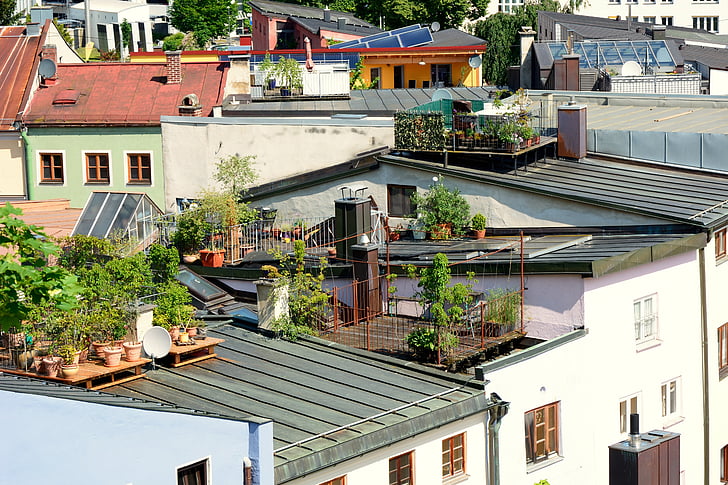 roof terrace, terrace, roof garden, garden, house roof, roof, live