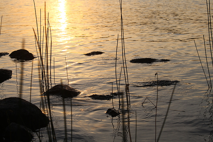 sjön, Sverige, lugn, Serenity, sommar, fiske, reflektioner
