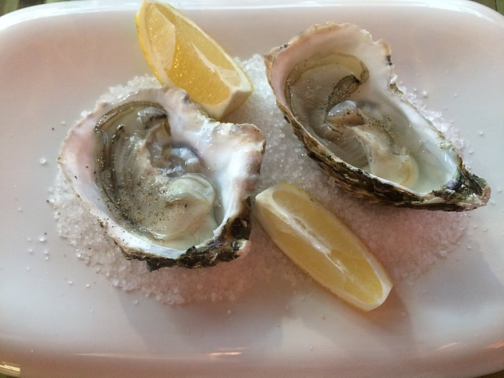 oysters, dish, food, seafood, restaurant, gastronomy, healthy