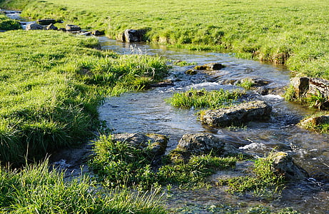 river, danube, tuttlingen, nendingen, village, nature, meadow