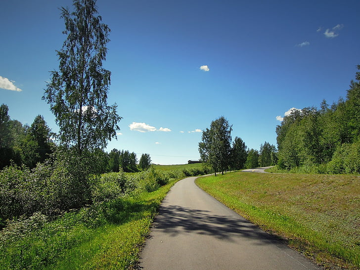 Tohmajärvi, Soome, Põhja-Karjala, puud, heinamaa, talukoht, muru