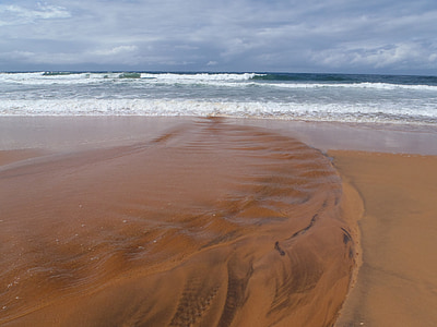 海滩, 悉尼海滩, 澳大利亚, 海, 网上冲浪, 波, 落潮