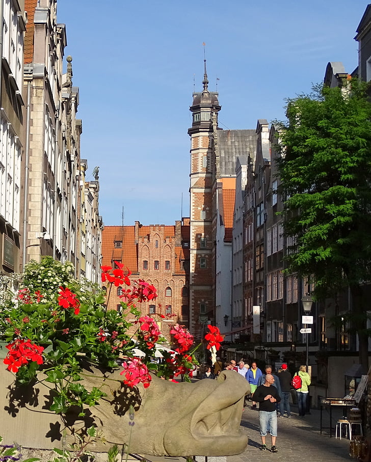 Polonia, Gdańsk, Sra. lane, arquitectura, calle, escena urbana, Europa