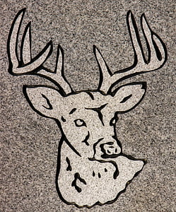 carving, animal, headstone, symbol, detail, granite, grave