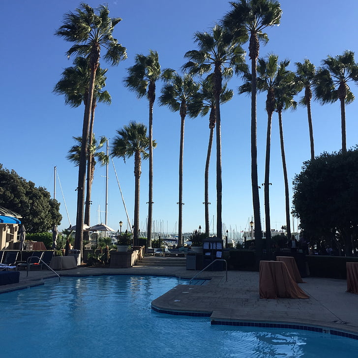 piscina, Huntington beach, verano, Playa, California, Costa, PCH