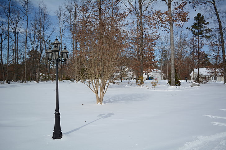 стълб на фенер, сняг, зимни, пейзаж, студено - температура, дърво, природата