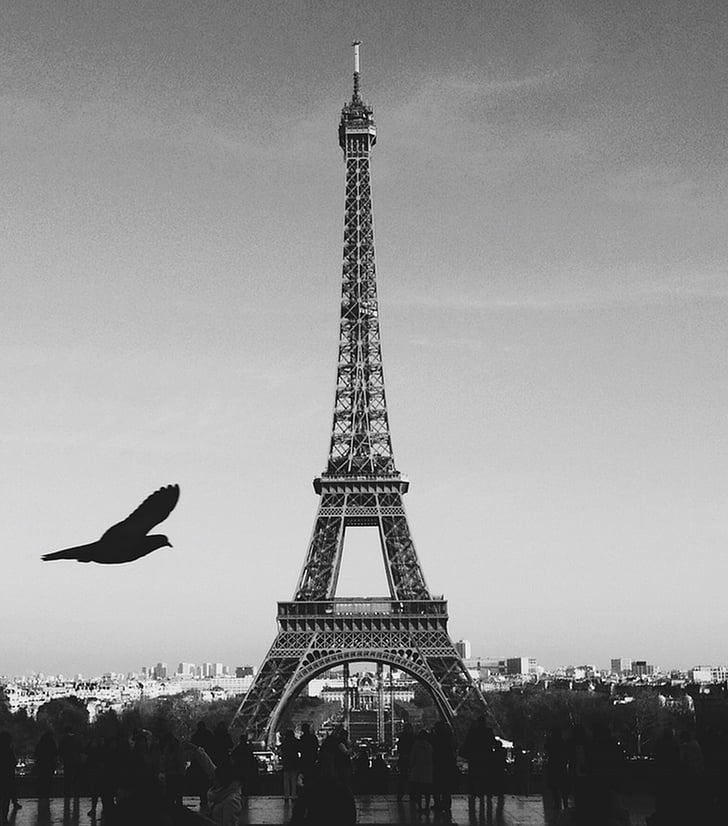 Parijs, Frankrijk, Eiffeltoren, Europa, het platform, Landmark, Frans