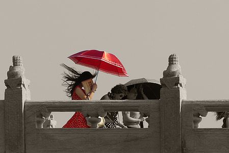 paraguas, rojo, soleado, protegido