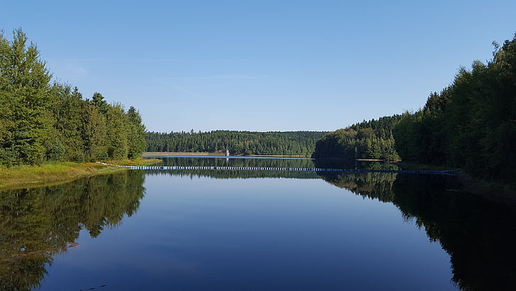 dam, drinking water, ore mountains, stollberg, nature, tree, forest