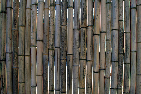 bambú, cerca de, pared, pared de bambú, fondos, patrón de, madera - material