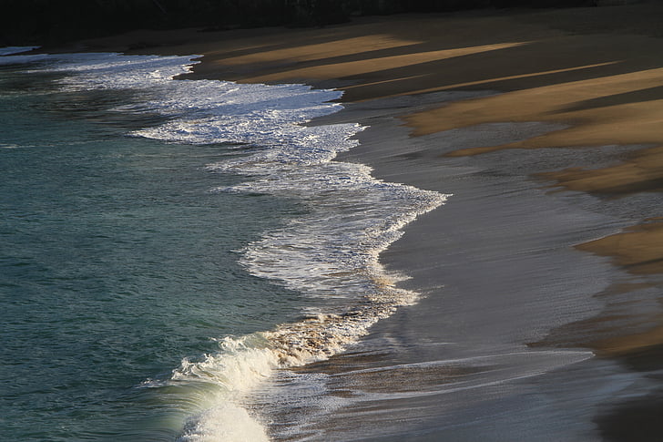 elements de, vent, l'aigua, sorra, moviment, Mar, platja