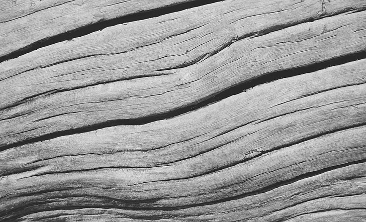fusta, textura, gra, textura de fusta, Pi, muntanyes