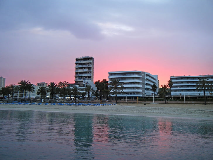 solnedgang, Hoteller, sjøen, stranden, palmer, Mallorca, Spania