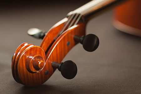 acústico, arte, Borrão, curvou-se instrumento, curvou-se instrumento de cordas, clássico, música clássica