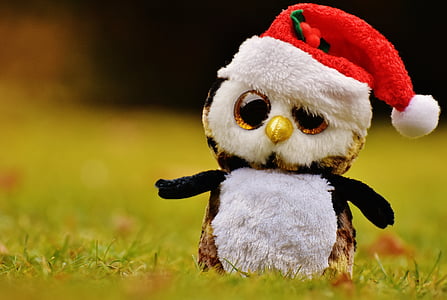 Kalėdos, pelėda, iškamša, Minkštasis žaislas, Santa skrybėlę, Žaislai, mielas