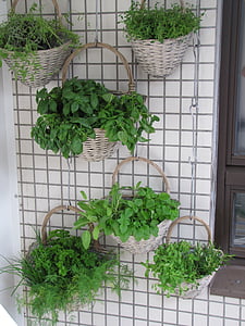 balcony, herbs, verkikaalipuutarha, vertical planting, planting baskets, wall garden, herb