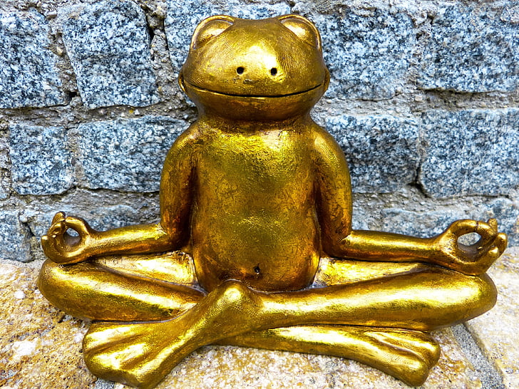 relaxació, meditació, granota, d'or, Ioga, sentir com a casa, calma interior