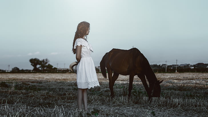 konj, djevojka, haljina, površine za sunčanje, priroda, photoshoot, kosa