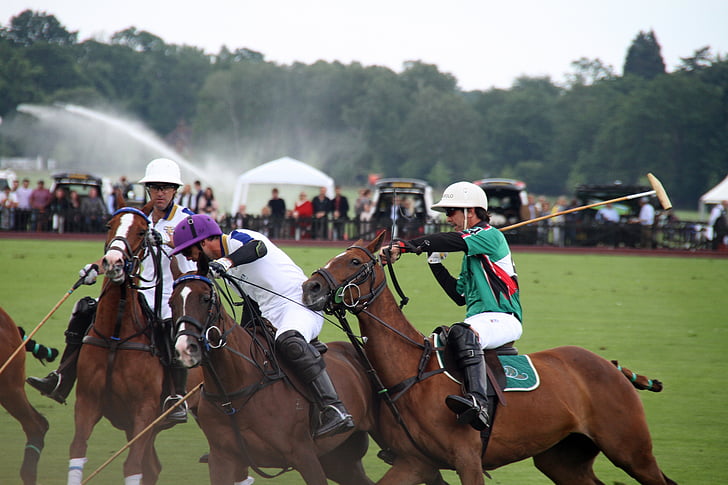 Polo, hester, spillere, Hestesport, sport, konkurranse, equine