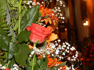 Rosa, puķe, augi, ziedi, garšaugi, pušķis, dārza