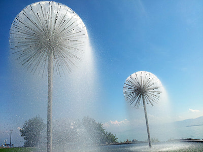 vann, fontene, blomst-figur, flytende, vann-funksjonen, sommerdag, Romanshorn