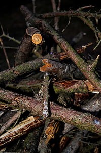 ramo, bastone, legno, natura, macro, legno vecchio, marrone