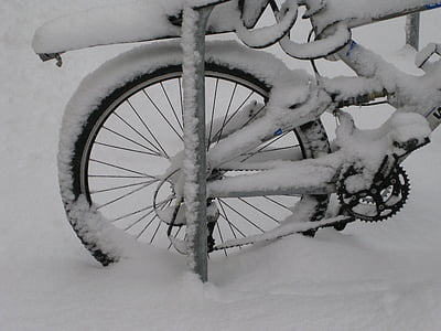 mountainbike, cykel, bakhjul, krets, Mogen, RIM, ekrar