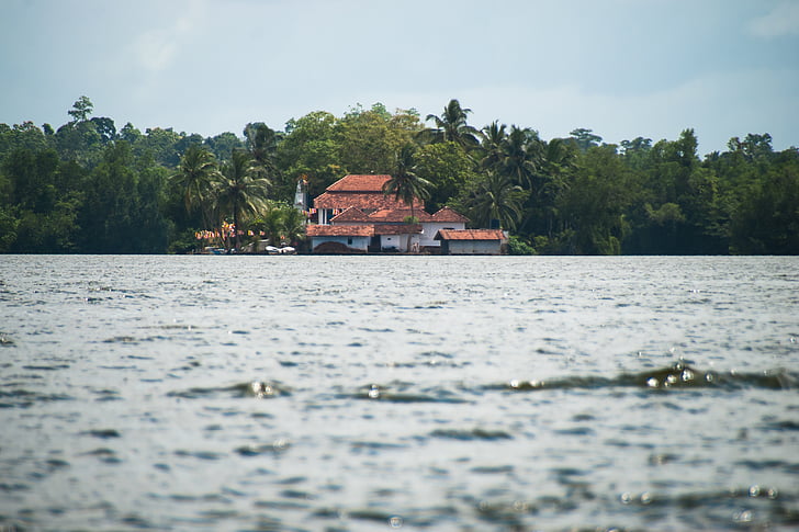 white, red, house, beside, trees, body, water